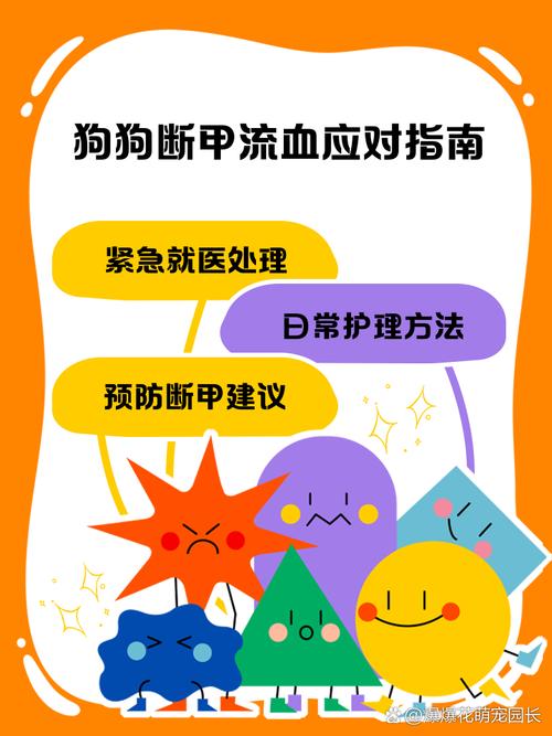 狗狗流血怎么止血_狗狗流血要流几天-第2张图片-后鲨宠物 狗狗流血怎么止血_狗狗流血要流几天-第2张图片-后鲨宠物