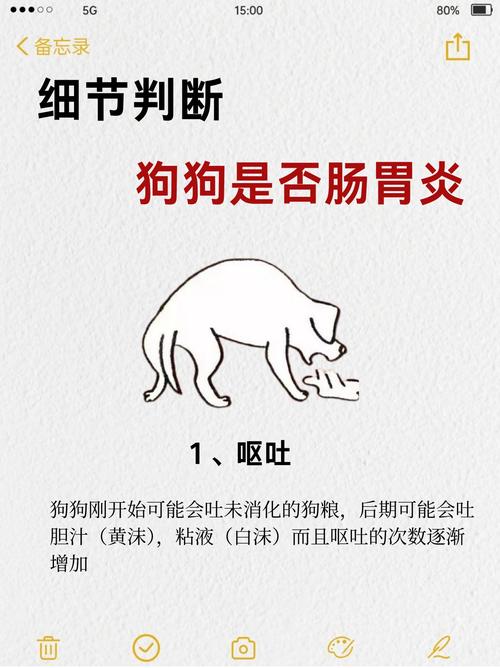 狗狗肠胃不好的表现_狗狗肠胃不好怎样调理-第1张图片-后鲨宠物 狗狗肠胃不好的表现_狗狗肠胃不好怎样调理-第1张图片-后鲨宠物