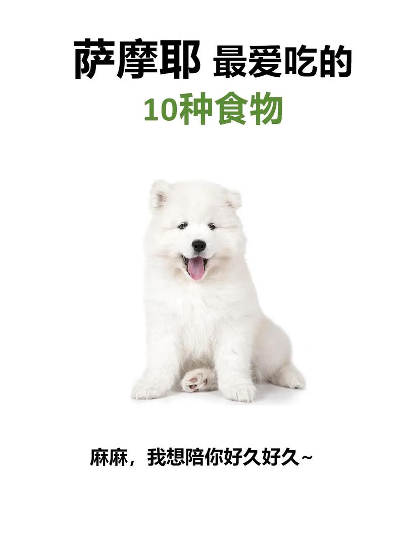 狗狗能吃沙琪玛吗，狗狗能吃沙琪玛吗会死吗？-第1张图片-后鲨宠物