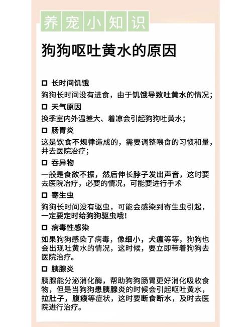 狗狗老吐黄水是怎么回事_狗狗总吐黄水怎么办-第1张图片-后鲨宠物 狗狗老吐黄水是怎么回事_狗狗总吐黄水怎么办-第1张图片-后鲨宠物