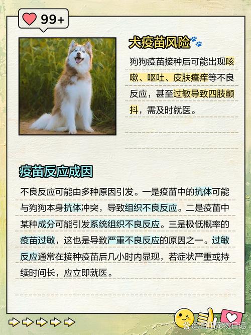 狗狗打了疫苗有什么反应,狗狗打疫苗有什么反应多久才好?-第1张图片-后鲨宠物 狗狗打了疫苗有什么反应,狗狗打疫苗有什么反应多久才好?-第1张图片-后鲨宠物