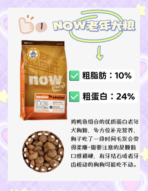 狗狗吃哪种狗粮好,狗狗吃什么牌的狗粮-第5张图片-后鲨宠物 狗狗吃哪种狗粮好,狗狗吃什么牌的狗粮-第5张图片-后鲨宠物