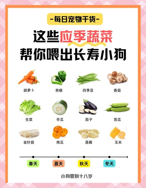 狗狗能吃哪些蔬菜_狗狗吃哪些蔬菜比较好-第6张图片-后鲨宠物 狗狗能吃哪些蔬菜_狗狗吃哪些蔬菜比较好-第6张图片-后鲨宠物