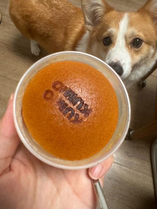 狗狗可以吃布丁吗_狗狗可以吃布丁么-第2张图片-后鲨宠物 狗狗可以吃布丁吗_狗狗可以吃布丁么-第2张图片-后鲨宠物