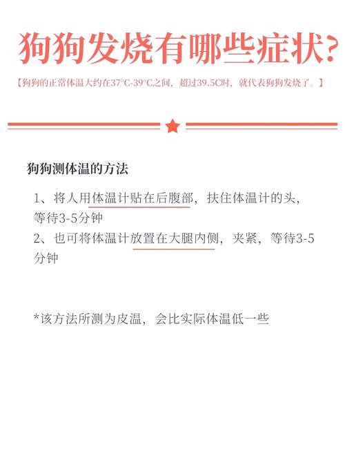 狗狗发烧怎么办最有效,狗狗发烧怎么治?-第5张图片-后鲨宠物 狗狗发烧怎么办最有效,狗狗发烧怎么治?-第5张图片-后鲨宠物