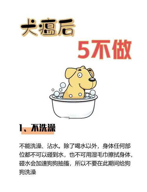 狗狗犬瘟能治好吗,狗瘟还能治吗-第1张图片-后鲨宠物 狗狗犬瘟能治好吗,狗瘟还能治吗-第1张图片-后鲨宠物