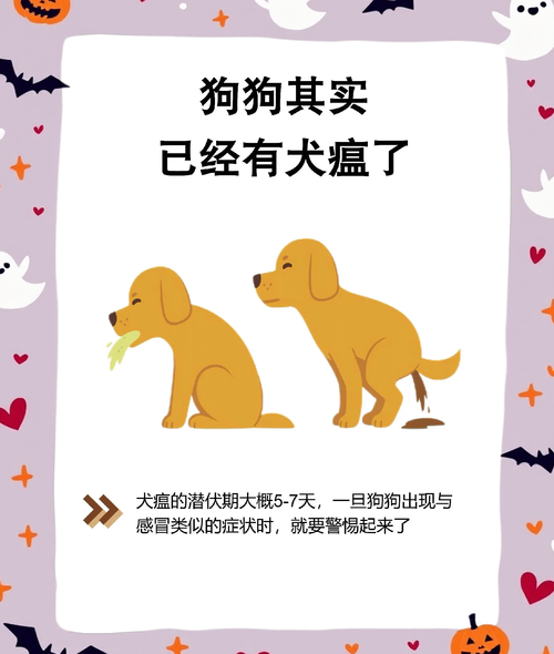 狗狗犬瘟能治好吗,狗瘟还能治吗-第4张图片-后鲨宠物 狗狗犬瘟能治好吗,狗瘟还能治吗-第4张图片-后鲨宠物