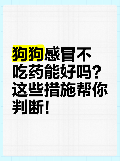 狗狗感冒不吃药能好吗,狗狗感冒不治会有什么后果?-第1张图片-后鲨宠物 狗狗感冒不吃药能好吗,狗狗感冒不治会有什么后果?-第1张图片-后鲨宠物