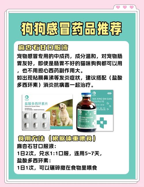 狗狗感冒不吃药能好吗,狗狗感冒不治会有什么后果?-第5张图片-后鲨宠物 狗狗感冒不吃药能好吗,狗狗感冒不治会有什么后果?-第5张图片-后鲨宠物