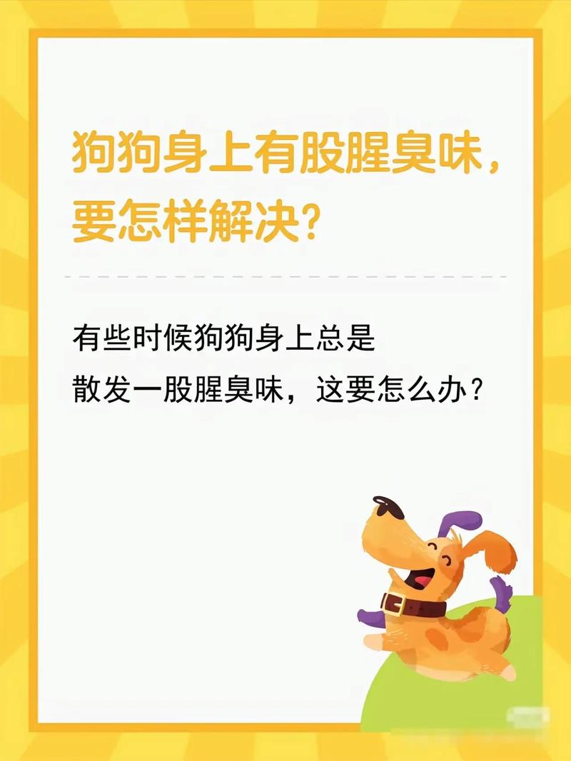 狗狗身上臭是什么原因,狗狗身上有点臭怎么办-第1张图片-后鲨宠物 狗狗身上臭是什么原因,狗狗身上有点臭怎么办-第1张图片-后鲨宠物