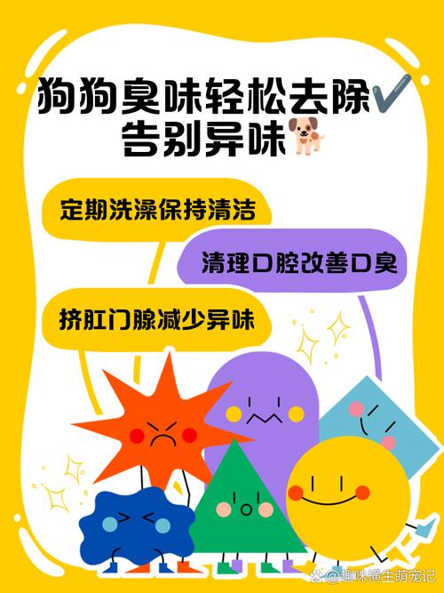 狗狗身上臭是什么原因,狗狗身上有点臭怎么办-第2张图片-后鲨宠物 狗狗身上臭是什么原因,狗狗身上有点臭怎么办-第2张图片-后鲨宠物