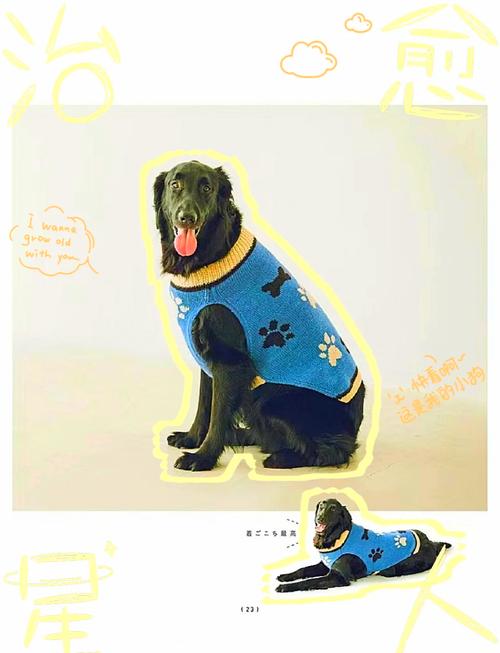 狗狗毛衣的简单织法,狗狗毛衣编织大全-第2张图片-后鲨宠物 狗狗毛衣的简单织法,狗狗毛衣编织大全-第2张图片-后鲨宠物