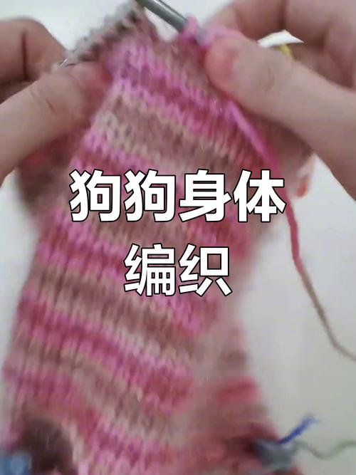 狗狗毛衣的简单织法,狗狗毛衣编织大全-第3张图片-后鲨宠物 狗狗毛衣的简单织法,狗狗毛衣编织大全-第3张图片-后鲨宠物