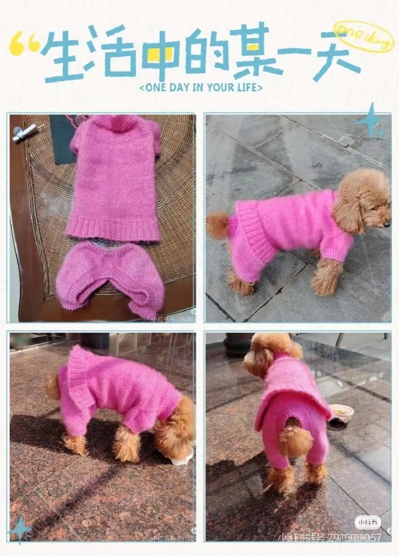 狗狗毛衣的简单织法,狗狗毛衣编织大全-第4张图片-后鲨宠物 狗狗毛衣的简单织法,狗狗毛衣编织大全-第4张图片-后鲨宠物