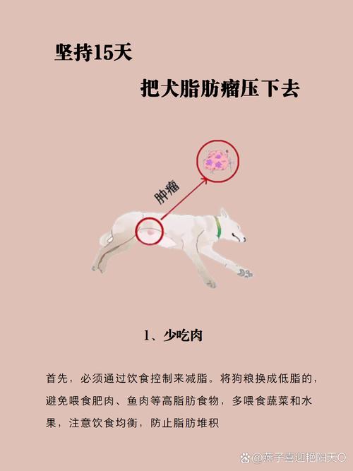 狗狗可以吃兔粮吗,狗狗可以吃兔粮吗?-第2张图片-后鲨宠物 狗狗可以吃兔粮吗,狗狗可以吃兔粮吗?-第2张图片-后鲨宠物