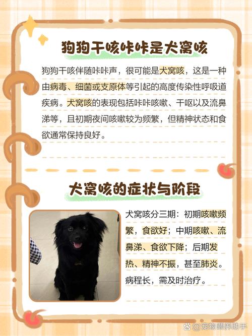 狗狗咳嗽但是精神很好,狗狗咳嗽但是精神很好正常吗?-第6张图片-后鲨宠物 狗狗咳嗽但是精神很好,狗狗咳嗽但是精神很好正常吗?-第6张图片-后鲨宠物