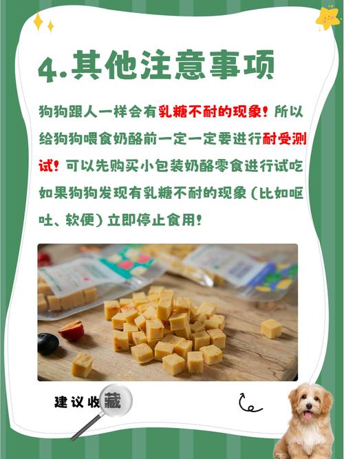 狗狗吃奶酪有什么好处_狗吃奶酪一顿多少克-第2张图片-后鲨宠物 狗狗吃奶酪有什么好处_狗吃奶酪一顿多少克-第2张图片-后鲨宠物