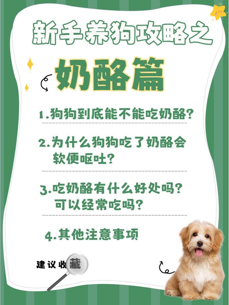 狗狗吃奶酪有什么好处_狗吃奶酪一顿多少克-第5张图片-后鲨宠物 狗狗吃奶酪有什么好处_狗吃奶酪一顿多少克-第5张图片-后鲨宠物