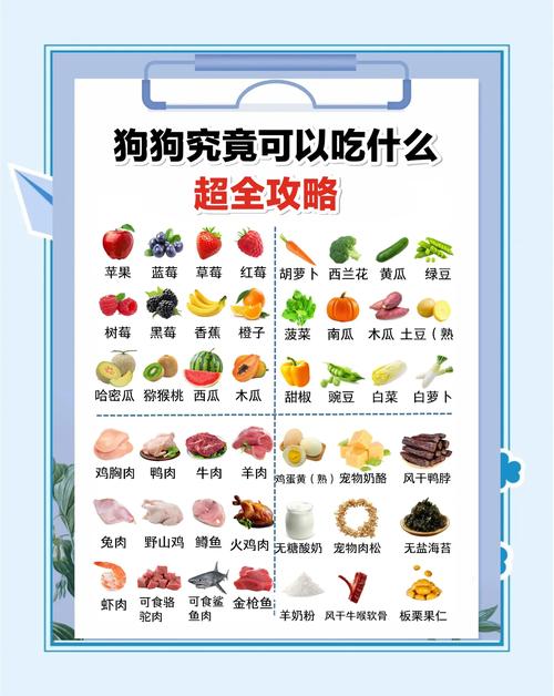 狗狗吃什么水果比较好,狗狗一般吃什么水果-第2张图片-后鲨宠物 狗狗吃什么水果比较好,狗狗一般吃什么水果-第2张图片-后鲨宠物