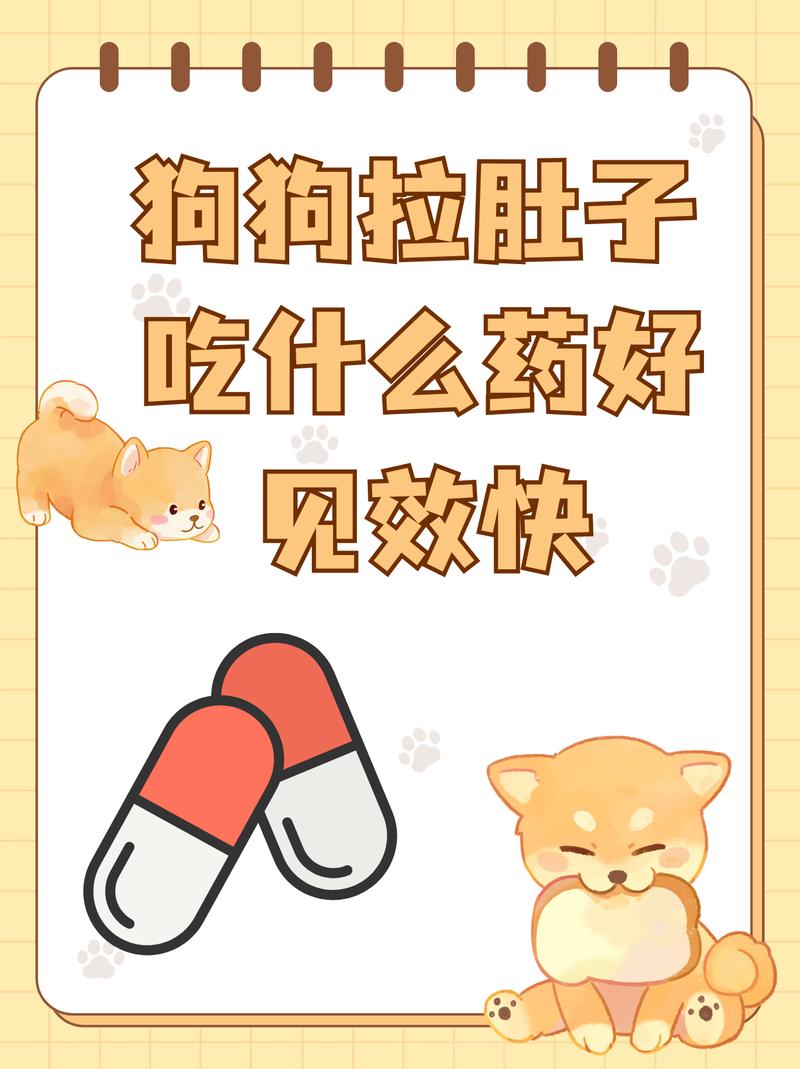 狗狗拉肚子吃什么药好,狗狗拉肚子吃什么药好见效快狗拉肚子带血口吐白沫-第4张图片-后鲨宠物 狗狗拉肚子吃什么药好,狗狗拉肚子吃什么药好见效快狗拉肚子带血口吐白沫-第4张图片-后鲨宠物
