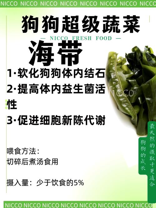 狗狗能吃海带吗,狗狗能吃海带嘛?-第3张图片-后鲨宠物 狗狗能吃海带吗,狗狗能吃海带嘛?-第3张图片-后鲨宠物