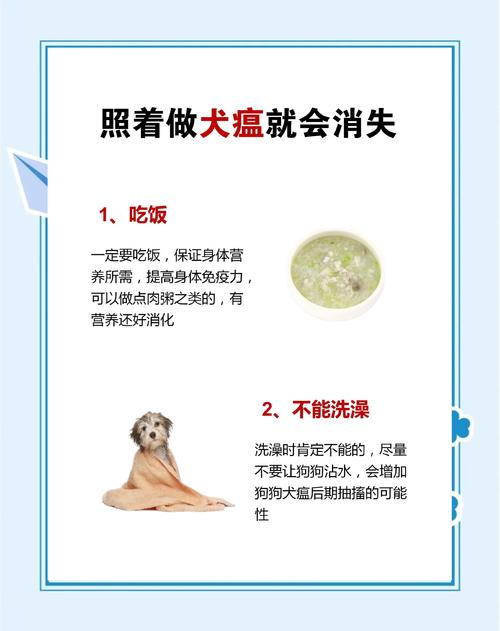 狗狗犬瘟怎么治疗,狗狗犬瘟治疗费用大概多少?-第5张图片-后鲨宠物 狗狗犬瘟怎么治疗,狗狗犬瘟治疗费用大概多少?-第5张图片-后鲨宠物