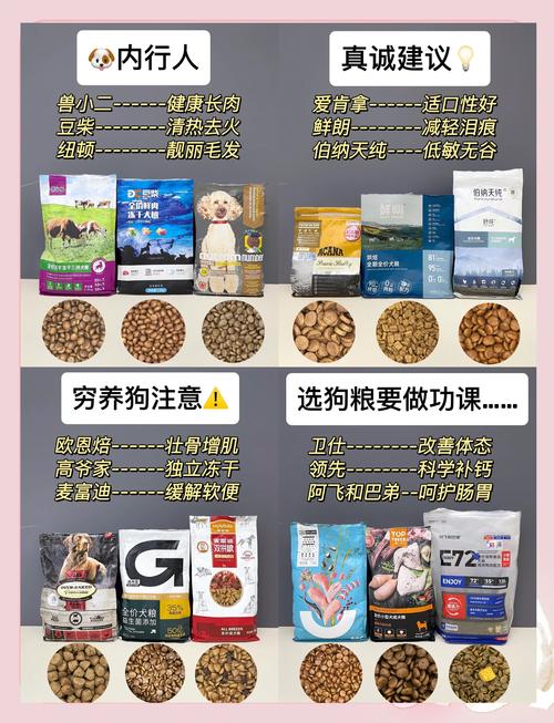 狗狗吃肉好还是狗粮好,小狗狗吃肉食好还是吃狗粮好-第1张图片-后鲨宠物 狗狗吃肉好还是狗粮好,小狗狗吃肉食好还是吃狗粮好-第1张图片-后鲨宠物