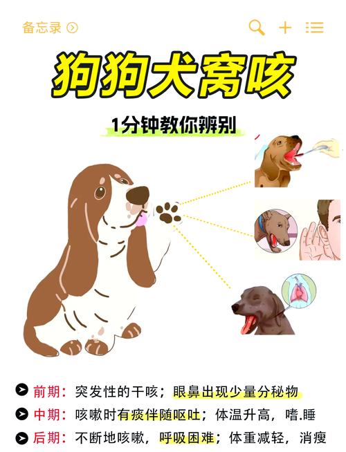 狗狗咳嗽可以打疫苗吗,狗狗咳嗽能打针吗-第1张图片-后鲨宠物 狗狗咳嗽可以打疫苗吗,狗狗咳嗽能打针吗-第1张图片-后鲨宠物