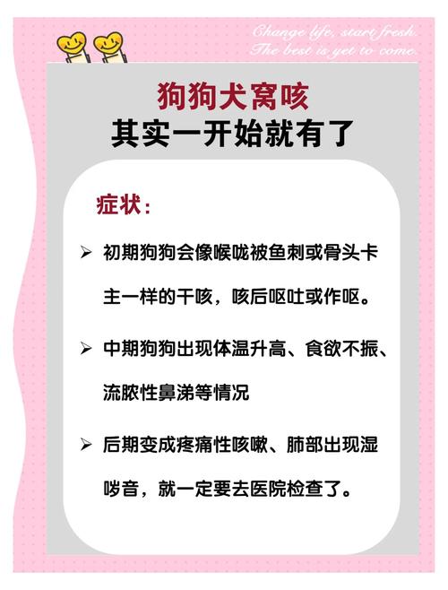 狗狗咳嗽可以打疫苗吗,狗狗咳嗽能打针吗-第6张图片-后鲨宠物 狗狗咳嗽可以打疫苗吗,狗狗咳嗽能打针吗-第6张图片-后鲨宠物