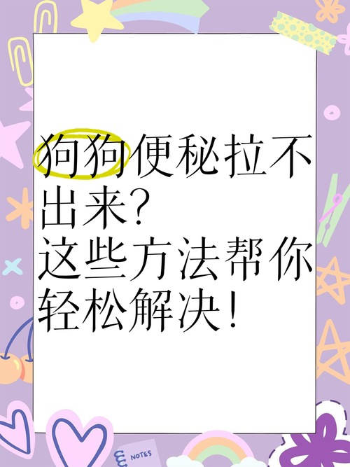 狗狗拉不出来粑粑怎么办,狗狗拉不出来粑粑怎么办应急方法-第6张图片-后鲨宠物 狗狗拉不出来粑粑怎么办,狗狗拉不出来粑粑怎么办应急方法-第6张图片-后鲨宠物