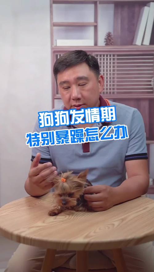 狗狗发情要多久,狗狗发情要多久时间-第6张图片-后鲨宠物 狗狗发情要多久,狗狗发情要多久时间-第6张图片-后鲨宠物