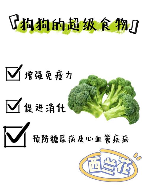 狗狗能吃西兰花吗,狗可以吃西兰花不?-第2张图片-后鲨宠物 狗狗能吃西兰花吗,狗可以吃西兰花不?-第2张图片-后鲨宠物