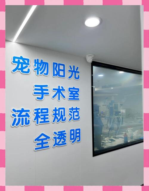 狗狗疝气手术多少钱,狗狗疝气手术多少钱费用-第6张图片-后鲨宠物 狗狗疝气手术多少钱,狗狗疝气手术多少钱费用-第6张图片-后鲨宠物