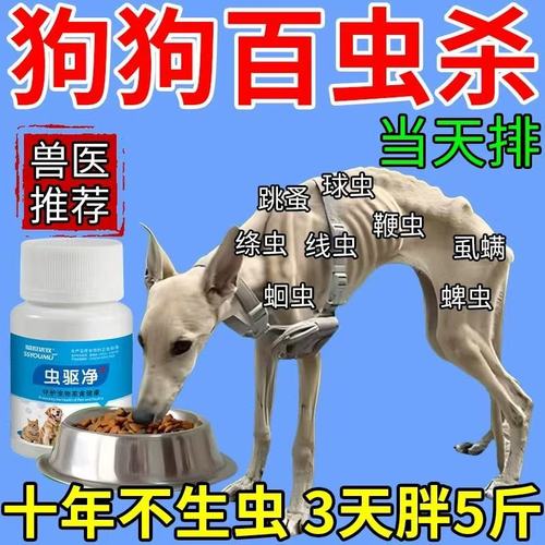 狗狗身上的跳蚤用什么药,狗狗身上的跳蚤用什么药去除-第3张图片-后鲨宠物 狗狗身上的跳蚤用什么药,狗狗身上的跳蚤用什么药去除-第3张图片-后鲨宠物