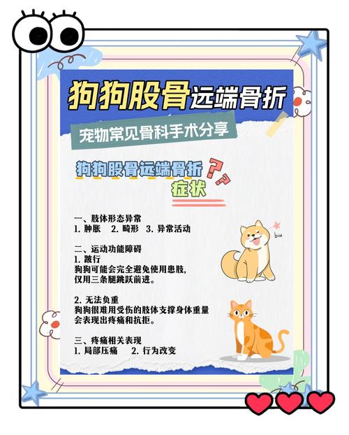 狗狗多少天会走路_狗狗多少天会走路了-第3张图片-后鲨宠物 狗狗多少天会走路_狗狗多少天会走路了-第3张图片-后鲨宠物