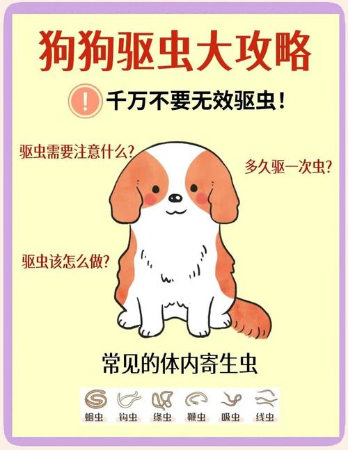 狗狗肚子里有蛔虫怎么办,狗狗肚子里有蛔虫怎么办?-第1张图片-后鲨宠物 狗狗肚子里有蛔虫怎么办,狗狗肚子里有蛔虫怎么办?-第1张图片-后鲨宠物