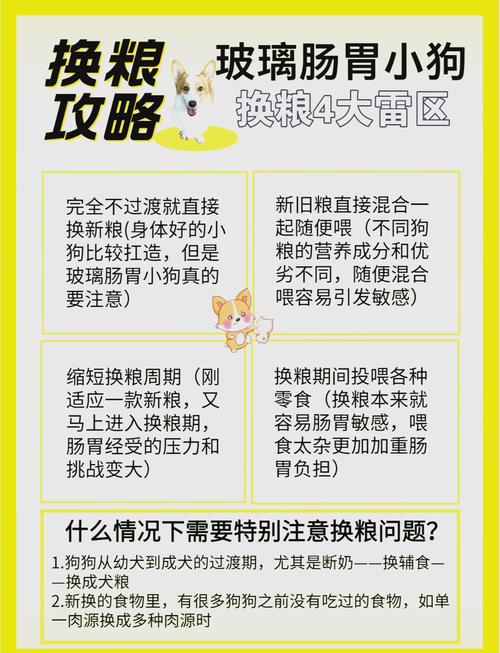 成年狗狗可以吃幼犬狗粮吗_狗狗成年了可以吃幼犬粮吗-第3张图片-后鲨宠物 成年狗狗可以吃幼犬狗粮吗_狗狗成年了可以吃幼犬粮吗-第3张图片-后鲨宠物