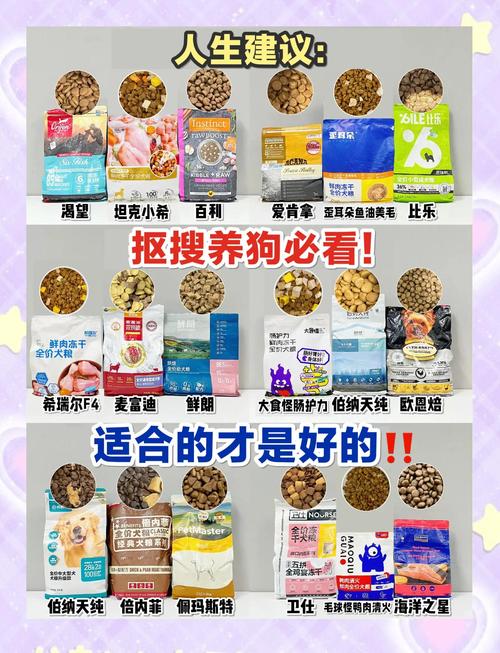 成年狗狗可以吃幼犬狗粮吗_狗狗成年了可以吃幼犬粮吗-第4张图片-后鲨宠物 成年狗狗可以吃幼犬狗粮吗_狗狗成年了可以吃幼犬粮吗-第4张图片-后鲨宠物