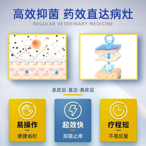 狗狗皮肤病可以用人的药吗_狗狗皮肤病可不可以用人的药来治疗