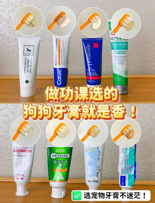 狗狗可以用人的牙膏吗_狗能用人牙膏吗-第2张图片-后鲨宠物 狗狗可以用人的牙膏吗_狗能用人牙膏吗-第2张图片-后鲨宠物