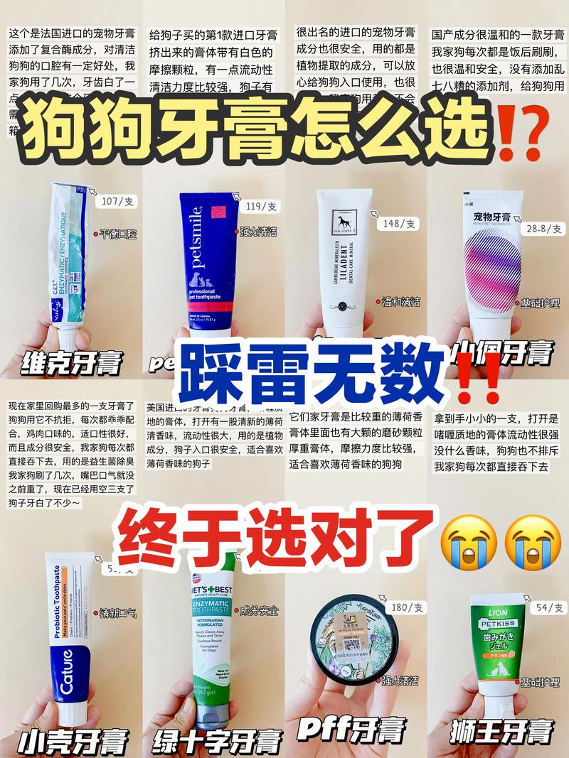 狗狗可以用人的牙膏吗_狗能用人牙膏吗-第4张图片-后鲨宠物 狗狗可以用人的牙膏吗_狗能用人牙膏吗-第4张图片-后鲨宠物