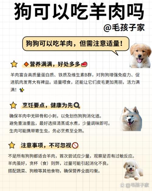 狗狗能吃羊排吗_狗能吃羊排骨骨头吗-第2张图片-后鲨宠物 狗狗能吃羊排吗_狗能吃羊排骨骨头吗-第2张图片-后鲨宠物