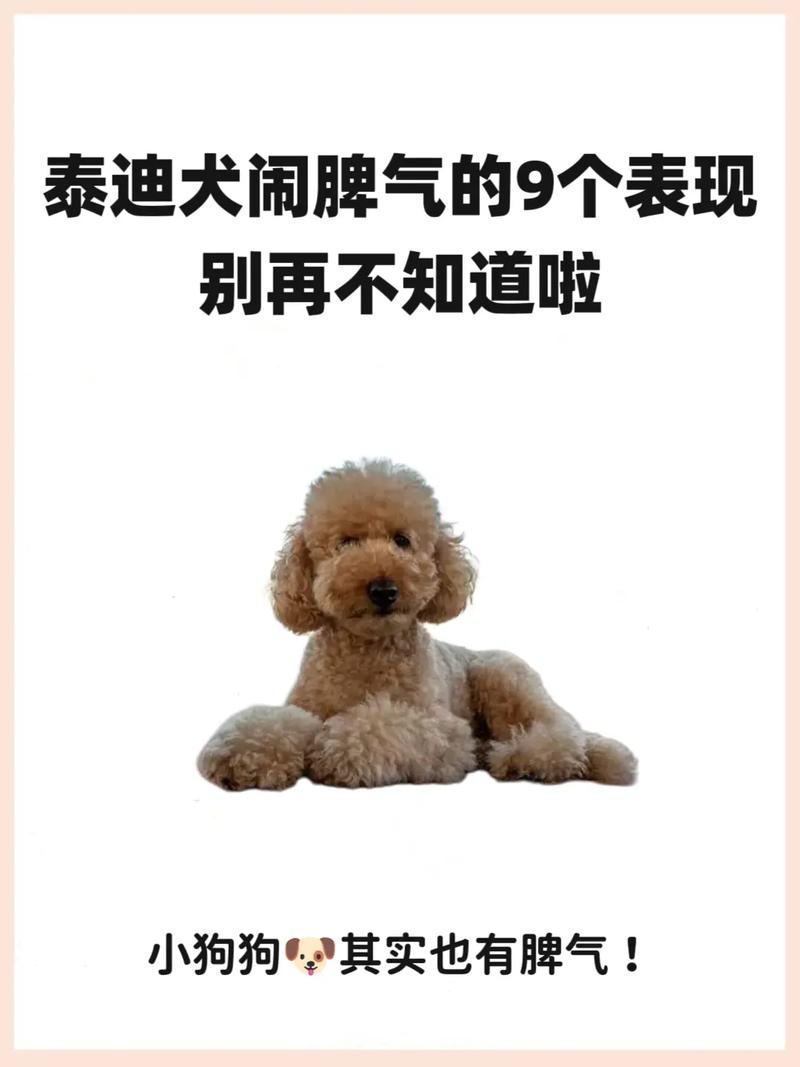 狗狗发情的症状_狗狗发情的症状及处理办法-第3张图片-后鲨宠物 狗狗发情的症状_狗狗发情的症状及处理办法-第3张图片-后鲨宠物