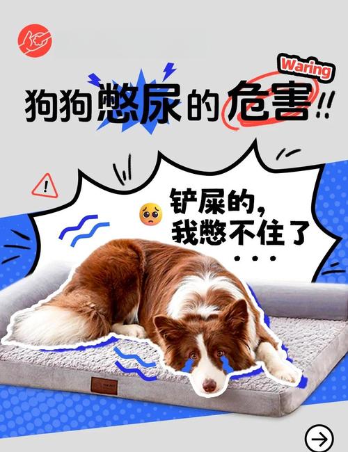 狗狗多大会憋尿,狗狗突然尿频一会一尿-第3张图片-后鲨宠物 狗狗多大会憋尿,狗狗突然尿频一会一尿-第3张图片-后鲨宠物