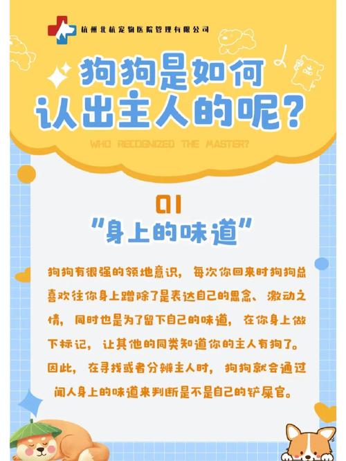如何让狗狗认主人_如何让狗狗认你为主人-第1张图片-后鲨宠物 如何让狗狗认主人_如何让狗狗认你为主人-第1张图片-后鲨宠物