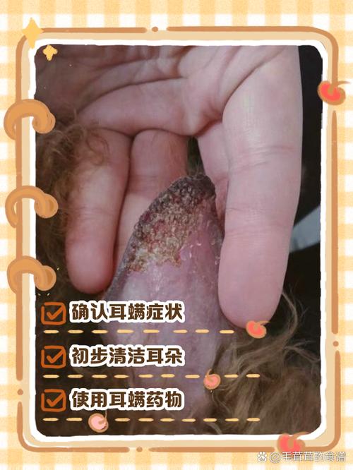 狗狗得了耳螨怎么治疗,狗狗得了耳螨用什么药-第6张图片-后鲨宠物 狗狗得了耳螨怎么治疗,狗狗得了耳螨用什么药-第6张图片-后鲨宠物