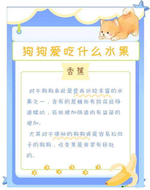 橙子狗狗能吃吗,橙子狗狗能吃吗有毒吗?-第4张图片-后鲨宠物 橙子狗狗能吃吗,橙子狗狗能吃吗有毒吗?-第4张图片-后鲨宠物