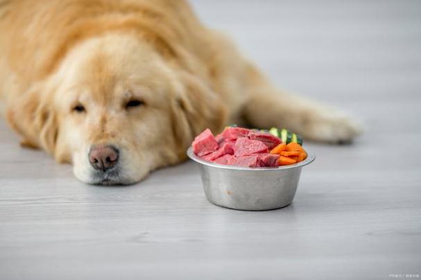 狗狗吃多了会拉稀吗,狗狗吃多了会拉稀吗?-第1张图片-后鲨宠物 狗狗吃多了会拉稀吗,狗狗吃多了会拉稀吗?-第1张图片-后鲨宠物