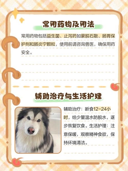 狗狗拉稀吃什么药好,狗狗拉稀吃什么药好得快最有效-第5张图片-后鲨宠物 狗狗拉稀吃什么药好,狗狗拉稀吃什么药好得快最有效-第5张图片-后鲨宠物