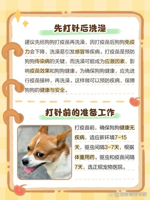 狗狗打疫苗前能洗澡吗,狗狗先洗澡还是先打针?-第4张图片-后鲨宠物 狗狗打疫苗前能洗澡吗,狗狗先洗澡还是先打针?-第4张图片-后鲨宠物